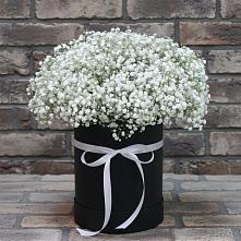 Цветочная композиция из Гипсофила в шляпной коробке в посёлок центральной усадьбы совхоза Синичино