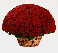 Премиум букет из: Розы в посёлок центральной усадьбы совхоза Синичино